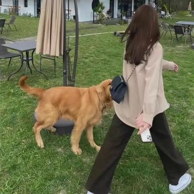 读心人第二季
